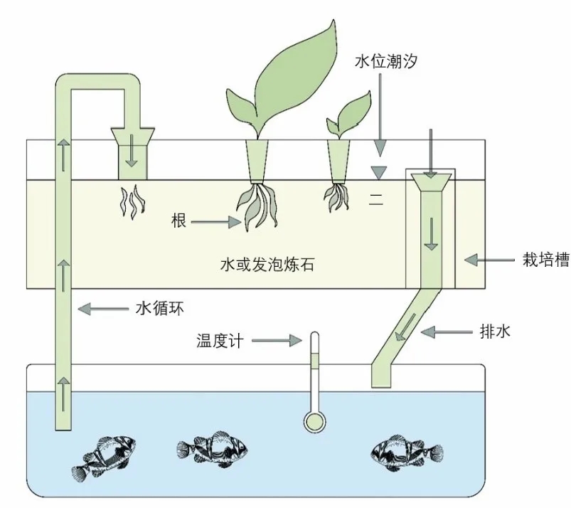 华体会体育在线(中国)唯一官方网站设计