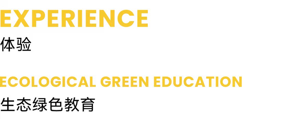 华体会体育在线(中国)唯一官方网站设计 华体会体育在线(中国)唯一官方网站设计