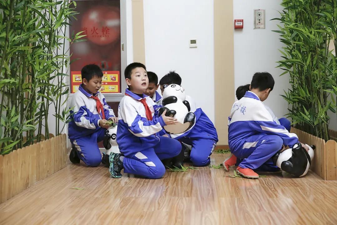 华体会体育在线(中国)唯一官方网站设计 华体会体育在线(中国)唯一官方网站设计