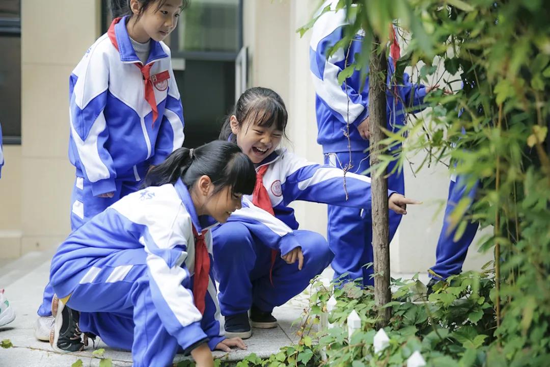 华体会体育在线(中国)唯一官方网站设计 华体会体育在线(中国)唯一官方网站设计