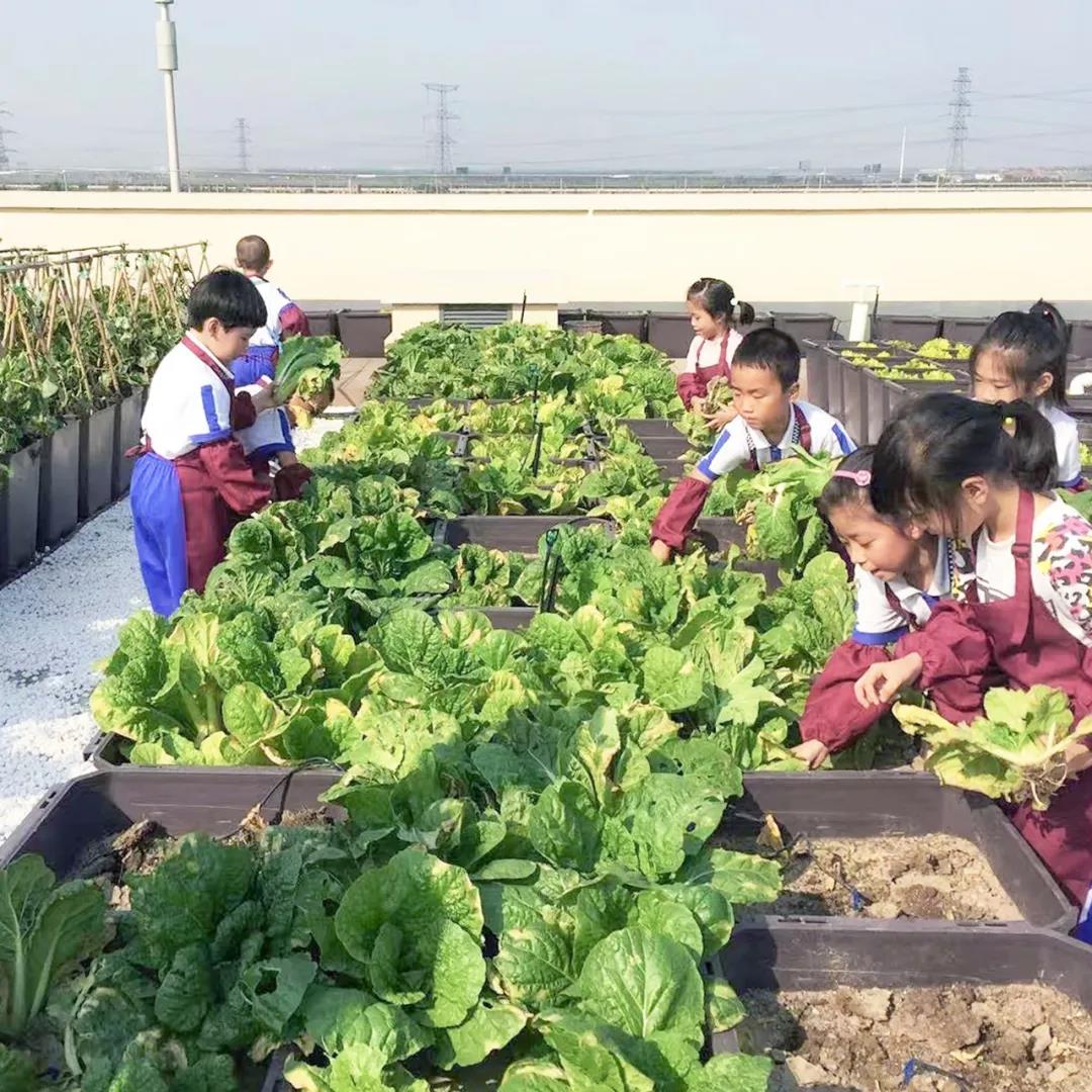 华体会体育在线(中国)唯一官方网站设计 华体会体育在线(中国)唯一官方网站设计