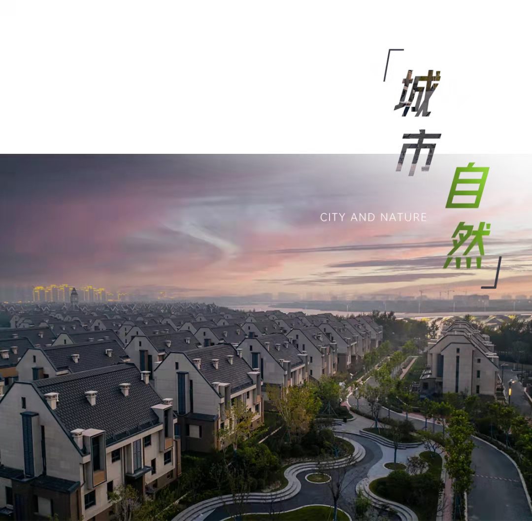 华体会体育在线(中国)唯一官方网站设计 华体会体育在线(中国)唯一官方网站设计