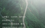 华体会体育在线(中国)唯一官方网站作品 | 塑造现代都市中的森林空间