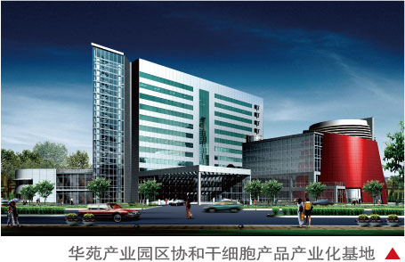 华体会体育在线(中国)唯一官方网站设计